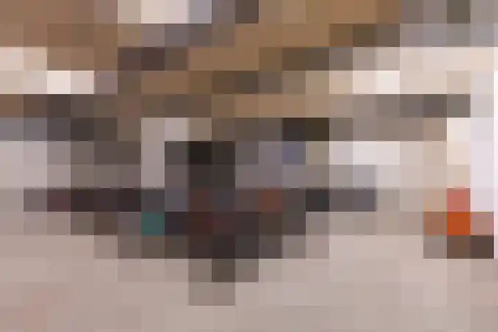 Ina Boudier-Bakkerlaan 22 G Utrecht thumbnail 30