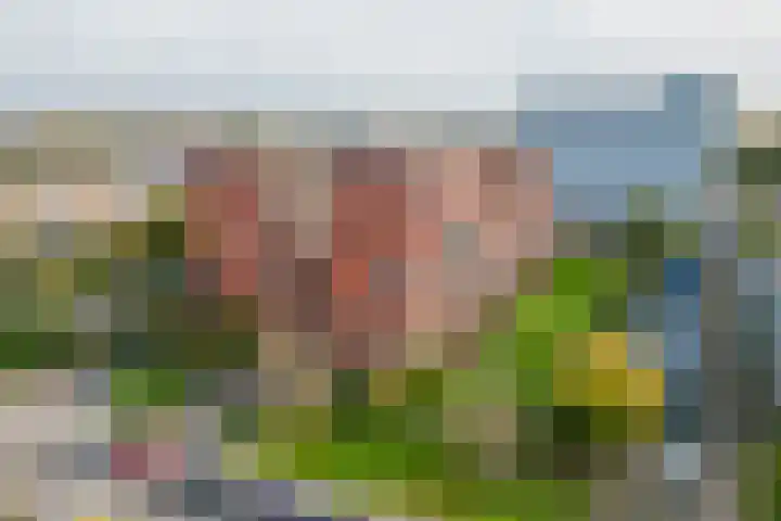 Ina Boudier-Bakkerlaan 22 G Utrecht thumbnail 36