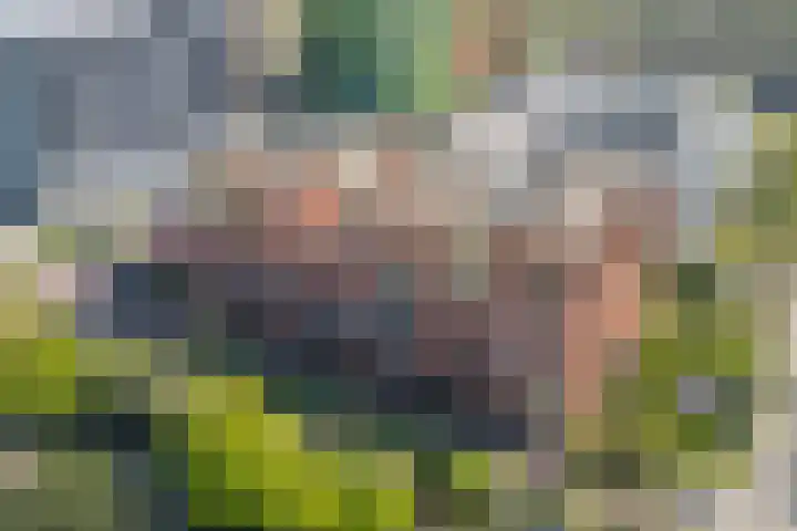 Ina Boudier-Bakkerlaan 22 G Utrecht thumbnail 36