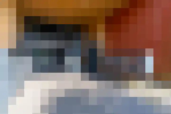 Ina Boudier-Bakkerlaan 22 G Utrecht thumbnail 6
