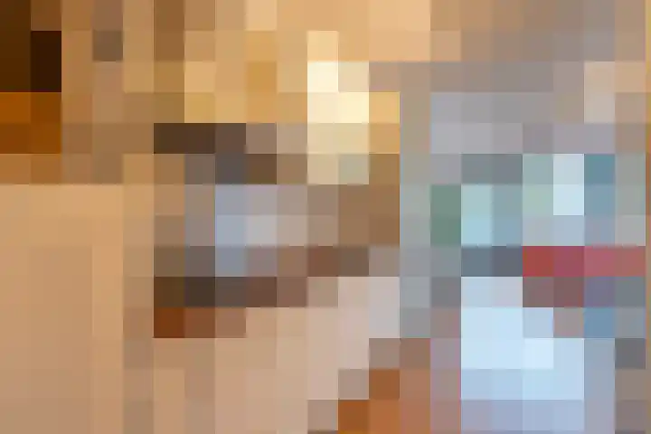 Ina Boudier-Bakkerlaan 22 G Utrecht thumbnail 9