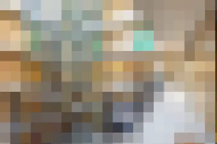 Ina Boudier-Bakkerlaan 22 G Utrecht thumbnail 9