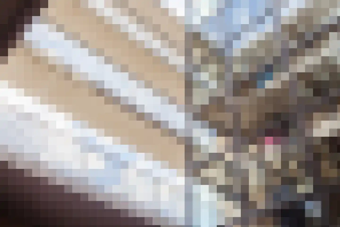 Ina Boudier-Bakkerlaan 22 P Utrecht thumbnail 12