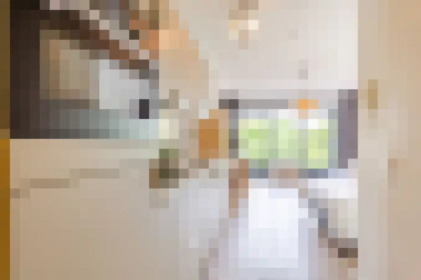 Ina Boudier-Bakkerlaan 22 P Utrecht thumbnail 21