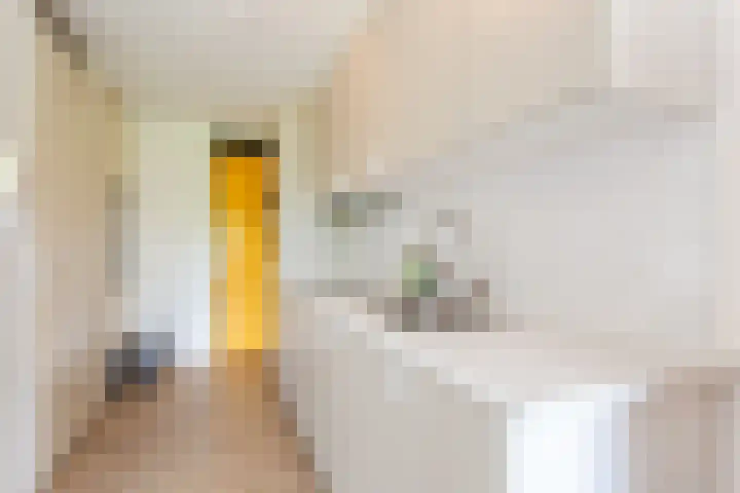 Ina Boudier-Bakkerlaan 22 P Utrecht thumbnail 24
