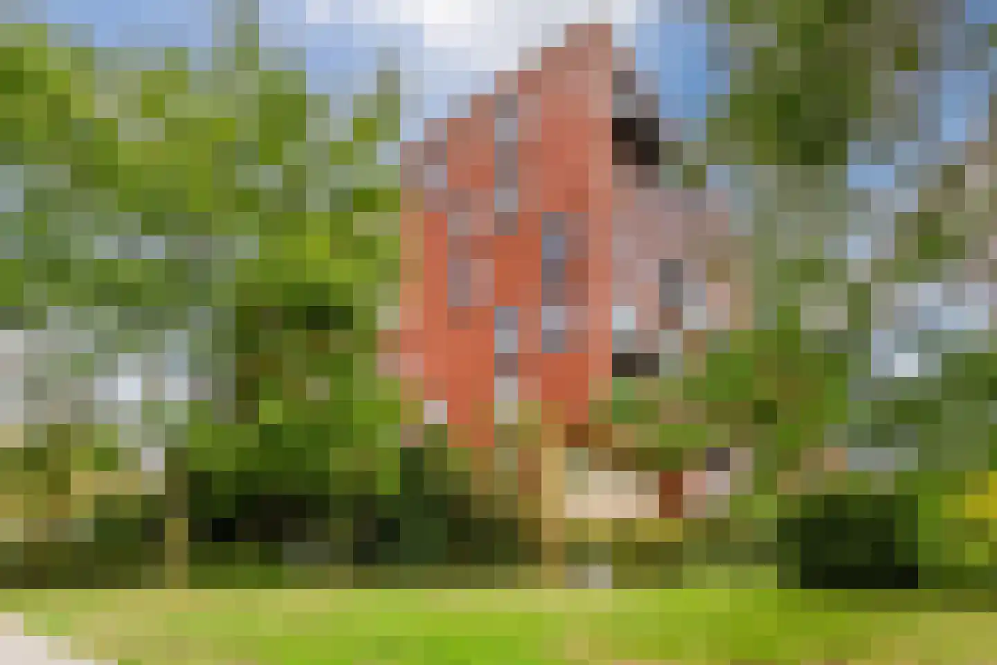 Ina Boudier-Bakkerlaan 22 P Utrecht thumbnail 39