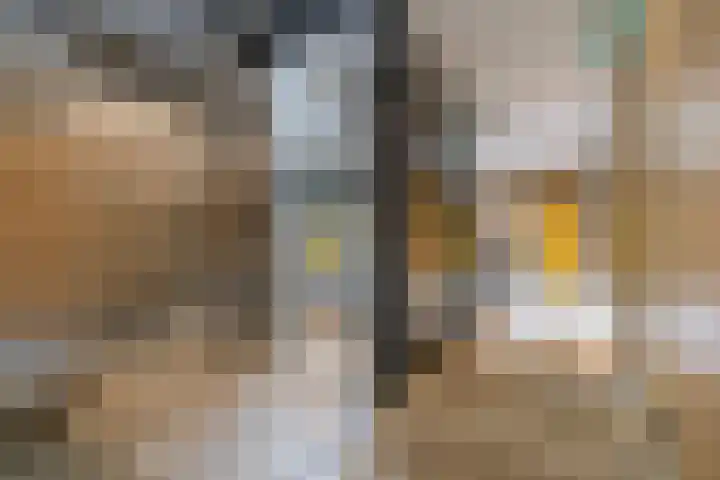 Ina Boudier-Bakkerlaan 24 G Utrecht thumbnail 10