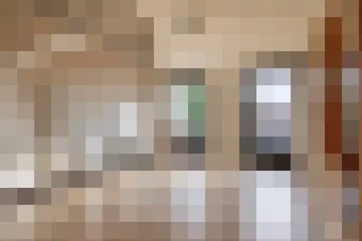 Ina Boudier-Bakkerlaan 24 G Utrecht thumbnail 11