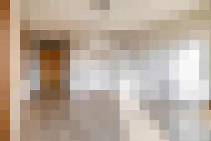 Ina Boudier-Bakkerlaan 24 G Utrecht thumbnail 12