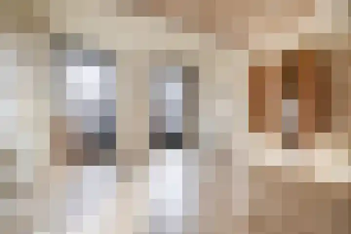 Ina Boudier-Bakkerlaan 24 G Utrecht thumbnail 14