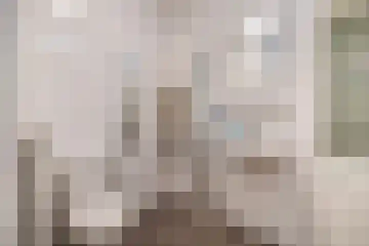 Ina Boudier-Bakkerlaan 24 G Utrecht thumbnail 20