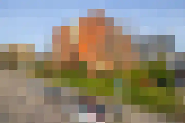 Ina Boudier-Bakkerlaan 24 G Utrecht thumbnail 24