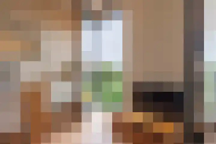 Ina Boudier-Bakkerlaan 26 G Utrecht thumbnail 11