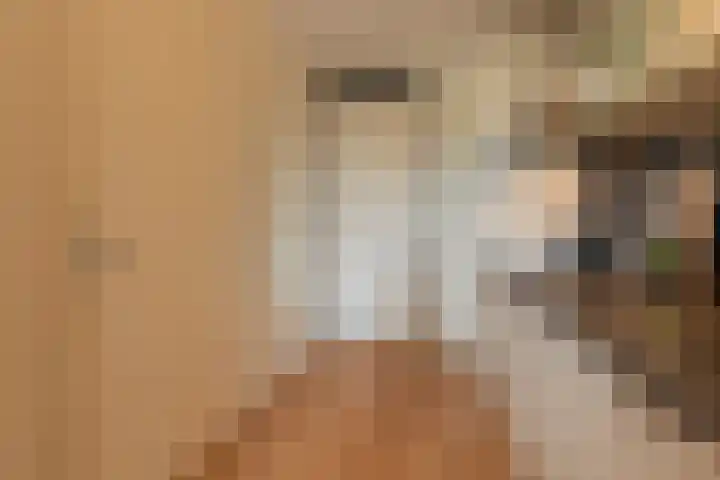Ina Boudier-Bakkerlaan 26 G Utrecht thumbnail 13