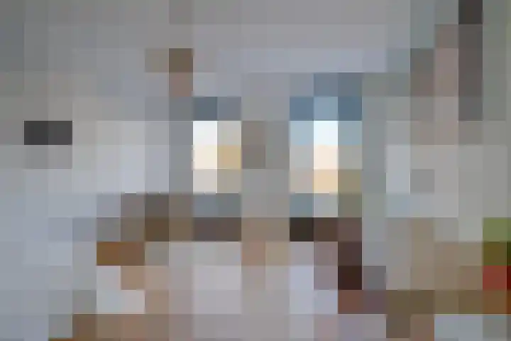 Ina Boudier-Bakkerlaan 26 G Utrecht thumbnail 13