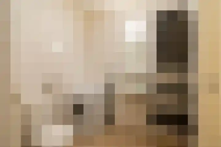 Ina Boudier-Bakkerlaan 26 G Utrecht thumbnail 14