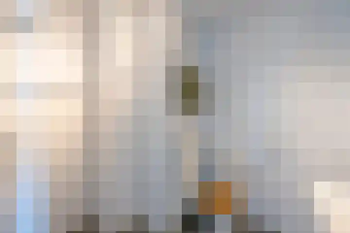 Ina Boudier-Bakkerlaan 26 G Utrecht thumbnail 14