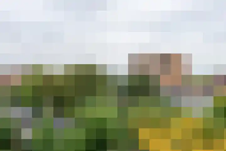 Ina Boudier-Bakkerlaan 26 G Utrecht thumbnail 15