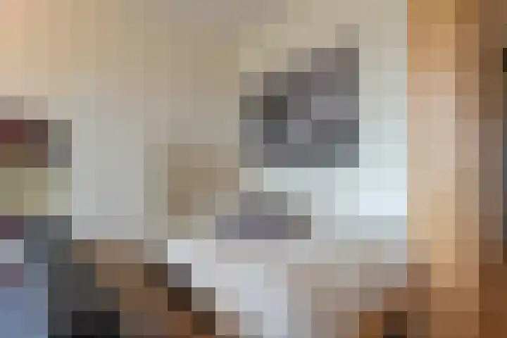 Ina Boudier-Bakkerlaan 26 G Utrecht thumbnail 16