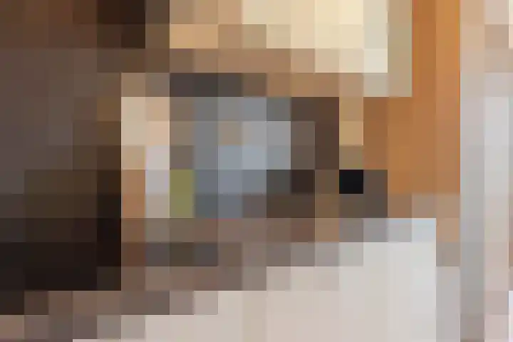 Ina Boudier-Bakkerlaan 26 G Utrecht thumbnail 18