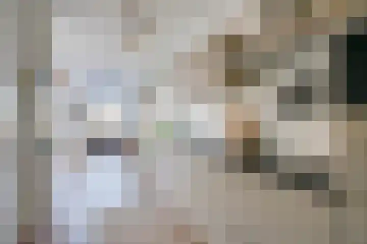 Ina Boudier-Bakkerlaan 26 G Utrecht thumbnail 4
