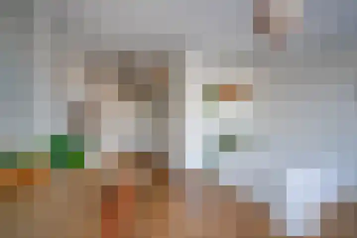 Ina Boudier-Bakkerlaan 26 G Utrecht thumbnail 7