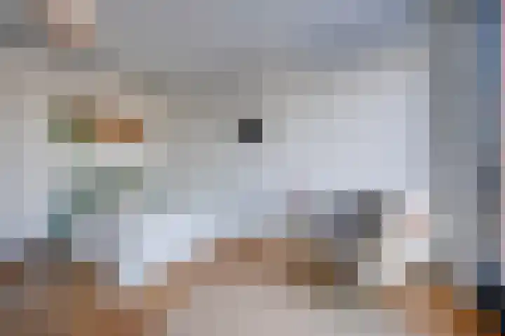 Ina Boudier-Bakkerlaan 26 G Utrecht thumbnail 8