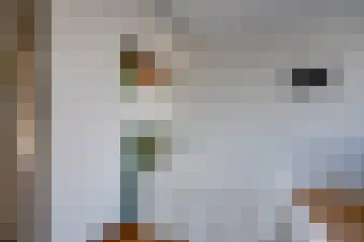 Ina Boudier-Bakkerlaan 26 G Utrecht thumbnail 9