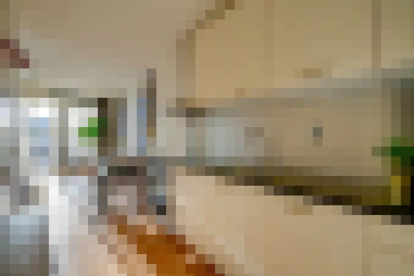 Ina Boudier-Bakkerlaan 28 A Utrecht thumbnail 16