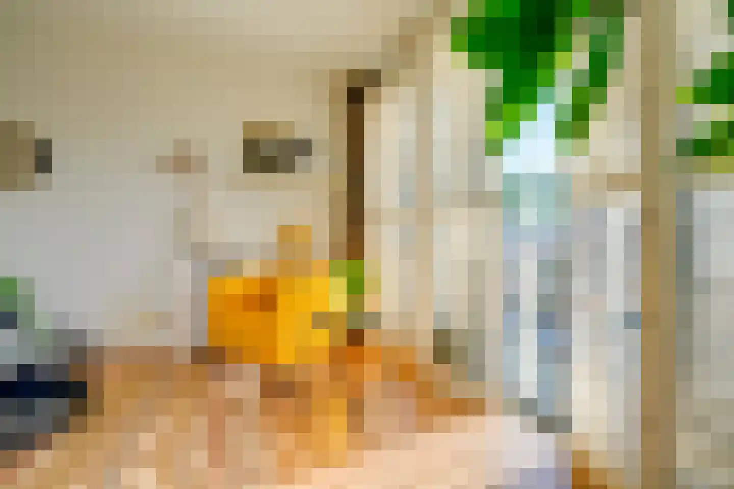 Ina Boudier-Bakkerlaan 28 A Utrecht thumbnail 6