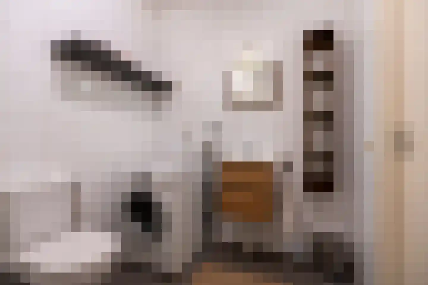 Ina Boudier-Bakkerlaan 28 C Utrecht thumbnail 14