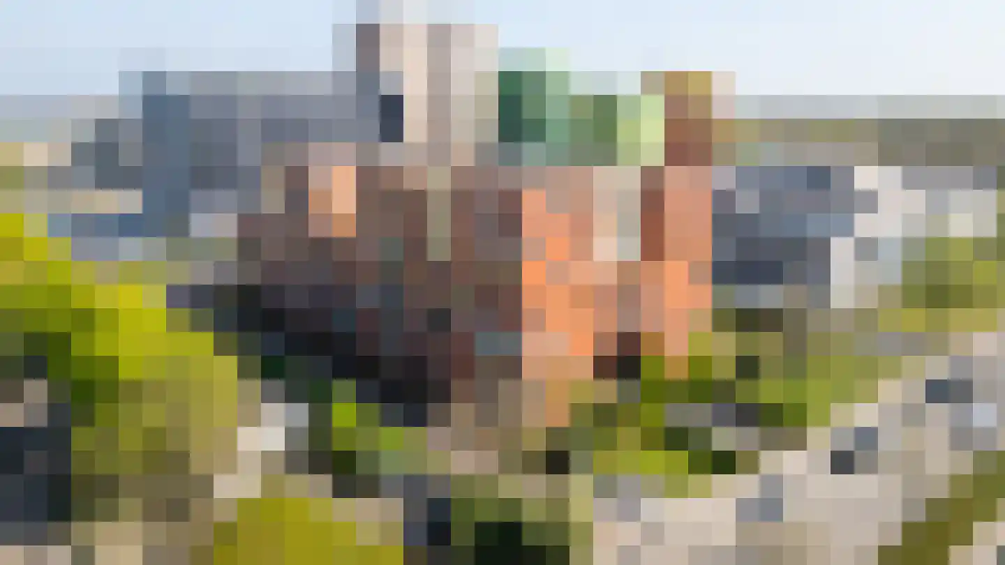 Ina Boudier-Bakkerlaan 28 C Utrecht thumbnail 21