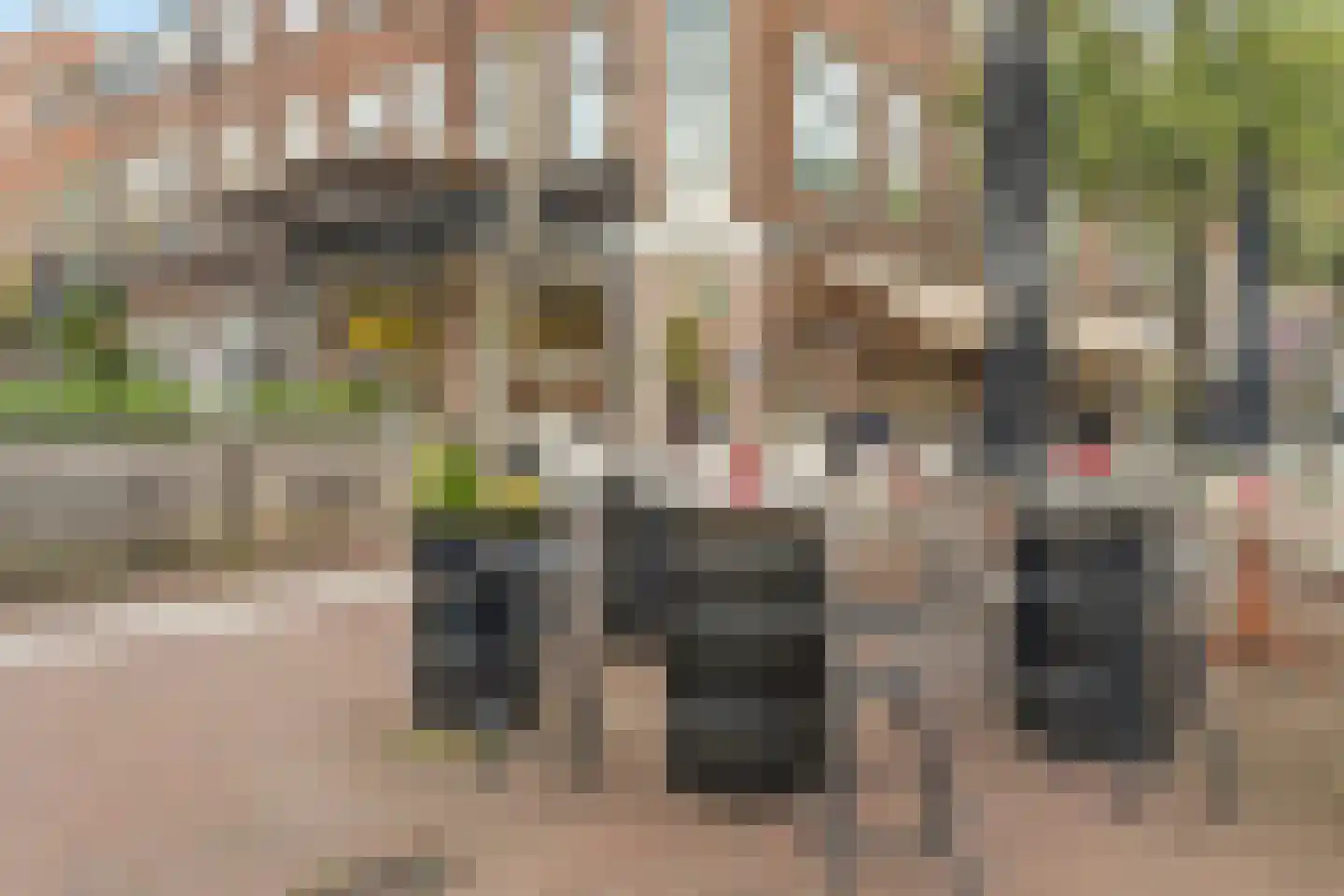 Ina Boudier-Bakkerlaan 28 C Utrecht thumbnail 33