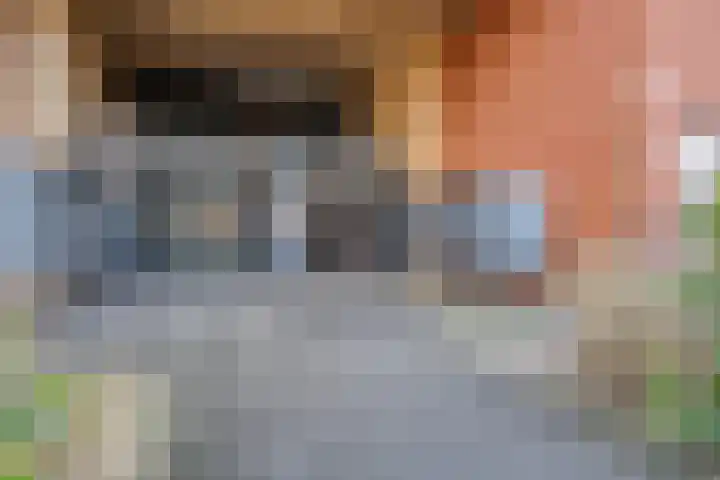 Ina Boudier-Bakkerlaan 28 G Utrecht thumbnail 12