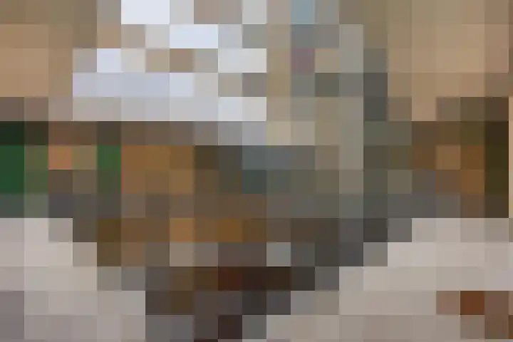 Ina Boudier-Bakkerlaan 28 G Utrecht thumbnail 14