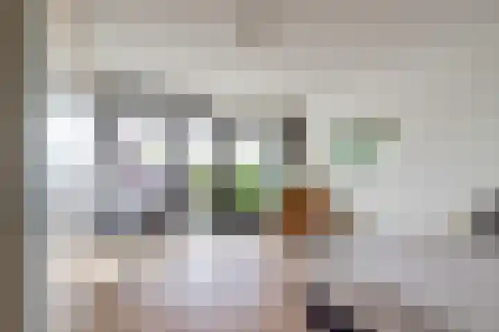 Ina Boudier-Bakkerlaan 30 G Utrecht thumbnail 10