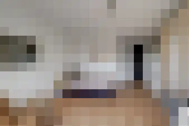 Ina Boudier-Bakkerlaan 30 G Utrecht thumbnail 11