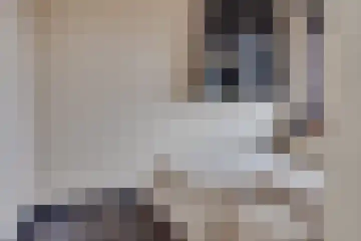 Ina Boudier-Bakkerlaan 30 G Utrecht thumbnail 22