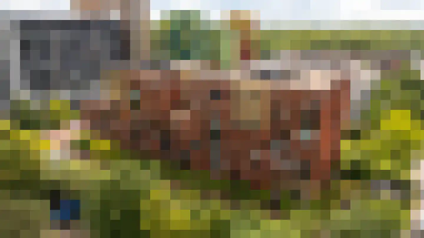 Ina Boudier-Bakkerlaan 30 G Utrecht thumbnail 22
