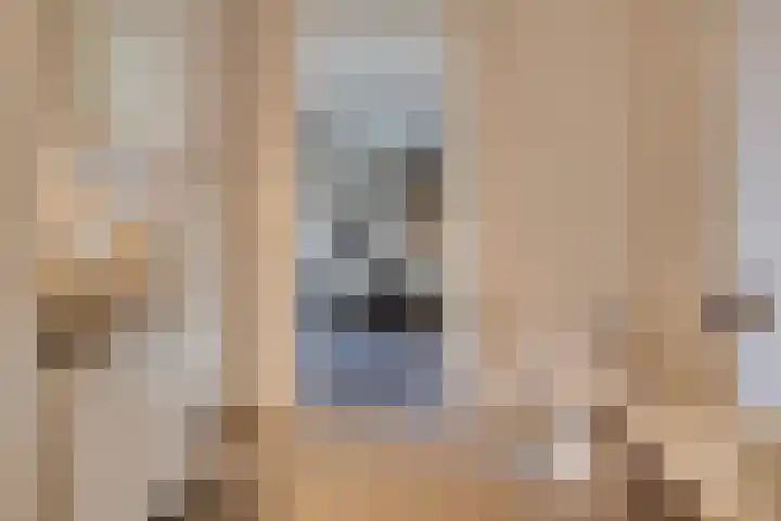 Ina Boudier-Bakkerlaan 30 G Utrecht thumbnail 9