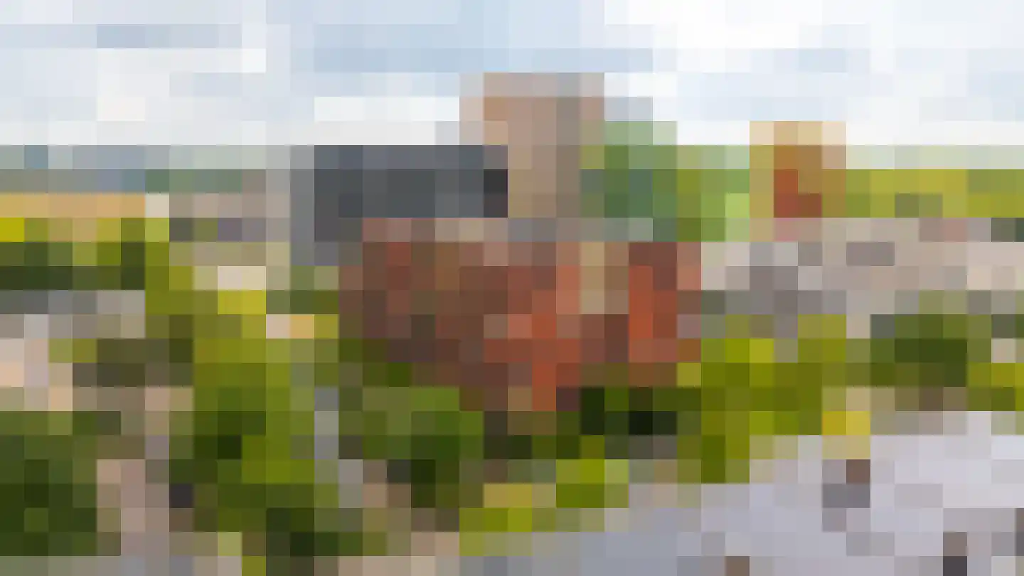 Ina Boudier-Bakkerlaan 30 H Utrecht thumbnail 23