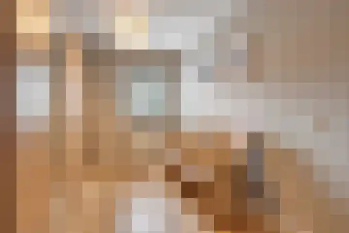 Ina Boudier-Bakkerlaan 34 Zutphen thumbnail 22