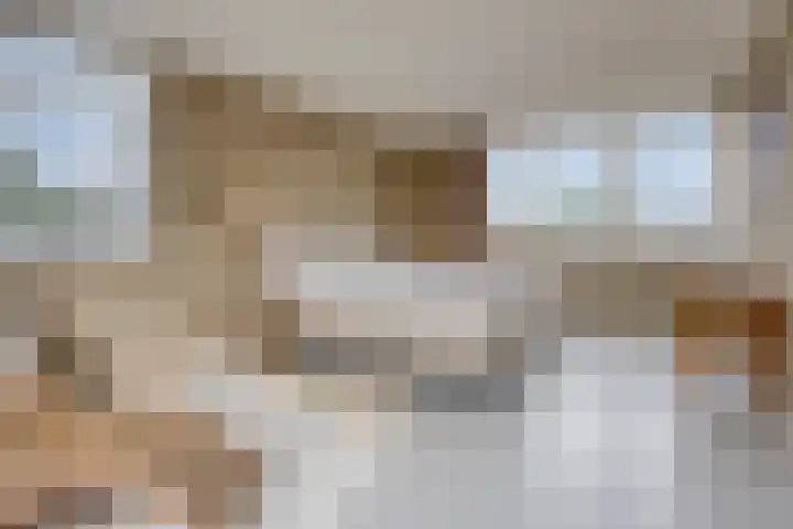 Ina Boudier-Bakkerlaan 34 Zutphen thumbnail 30
