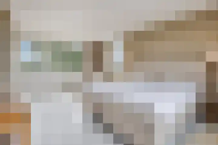 Ina Boudier-Bakkerlaan 34 Zutphen thumbnail 31