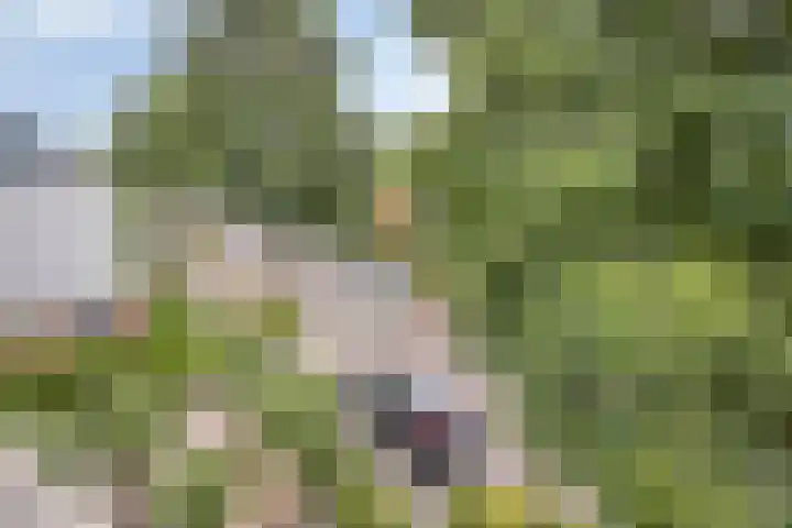 Ina Boudier-Bakkerlaan 34 Zutphen thumbnail 35