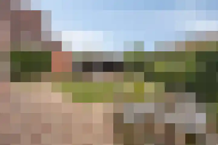 Ina Boudier-Bakkerlaan 34 Zutphen thumbnail 36