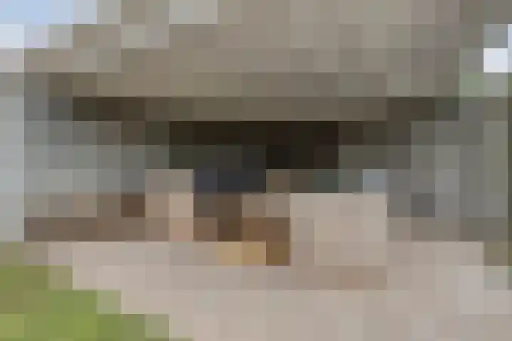 Ina Boudier-Bakkerlaan 34 Zutphen thumbnail 38