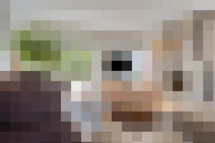 Ina Boudier-Bakkerlaan 34 Zutphen thumbnail 5