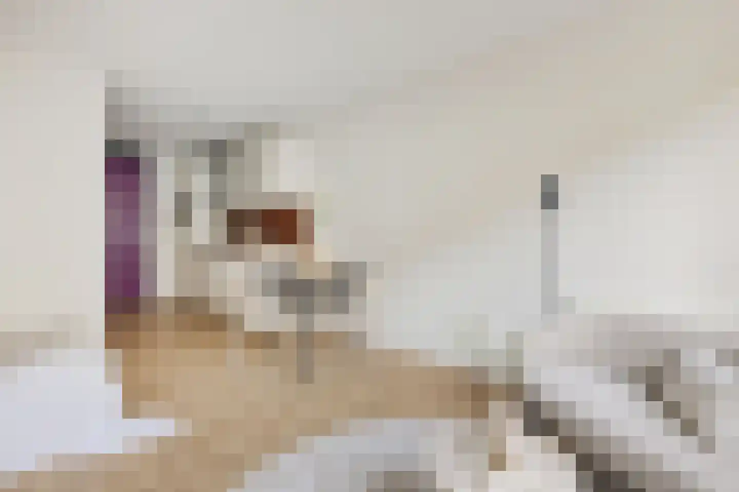 Ina Boudier-Bakkerlaan 36 C Utrecht thumbnail 22