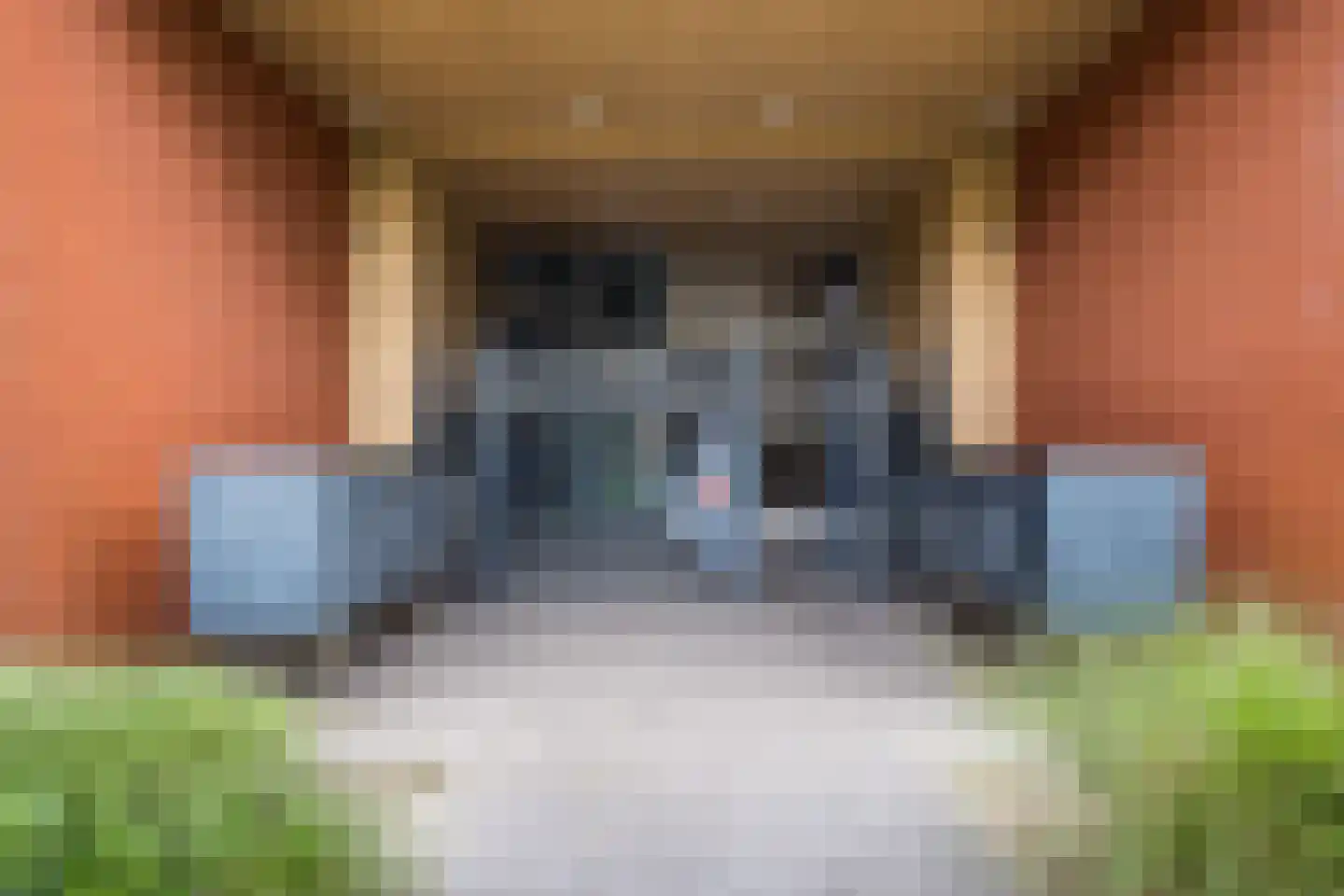 Ina Boudier-Bakkerlaan 36 C Utrecht thumbnail 8